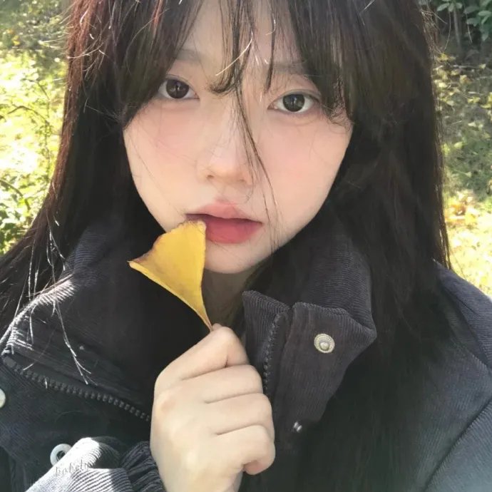 复仇女郎